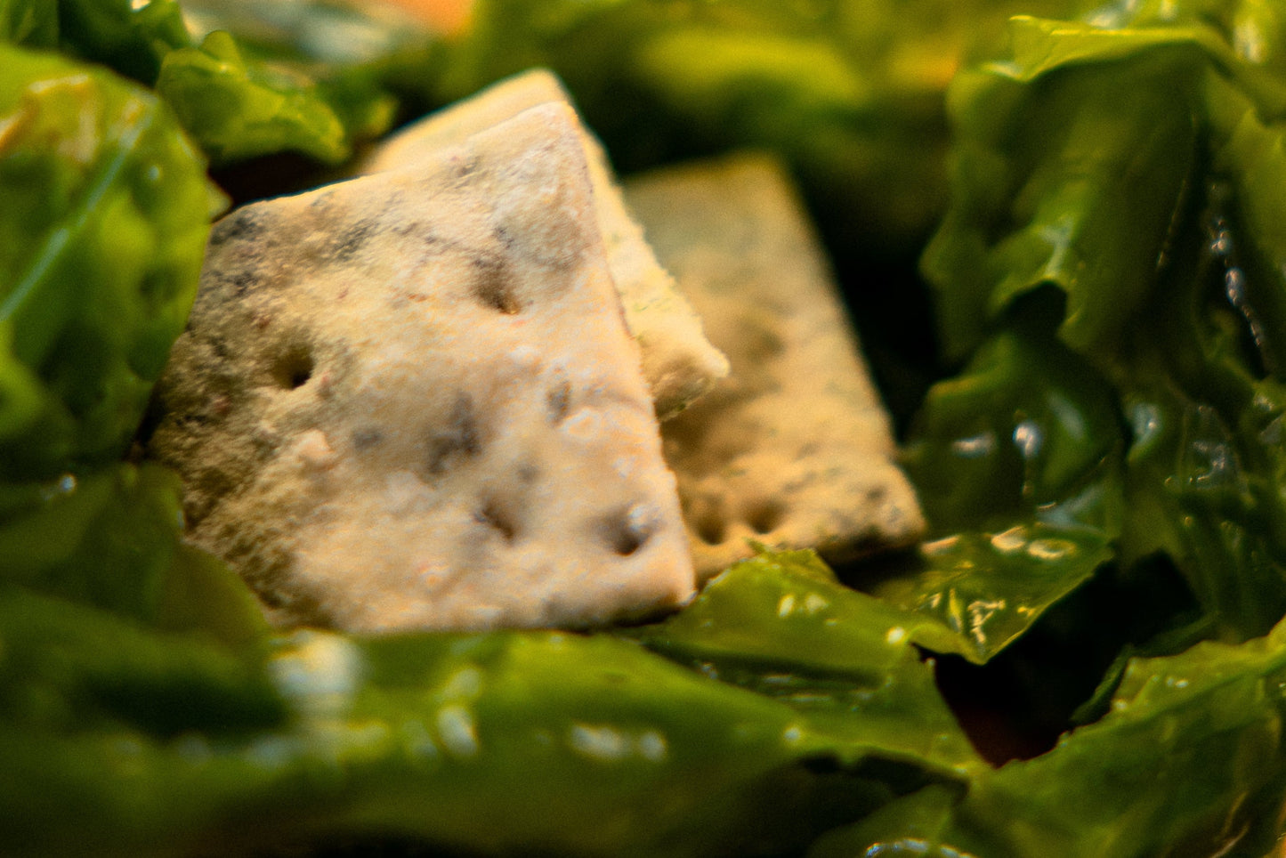 The Future of Climate-Positive Nutrition