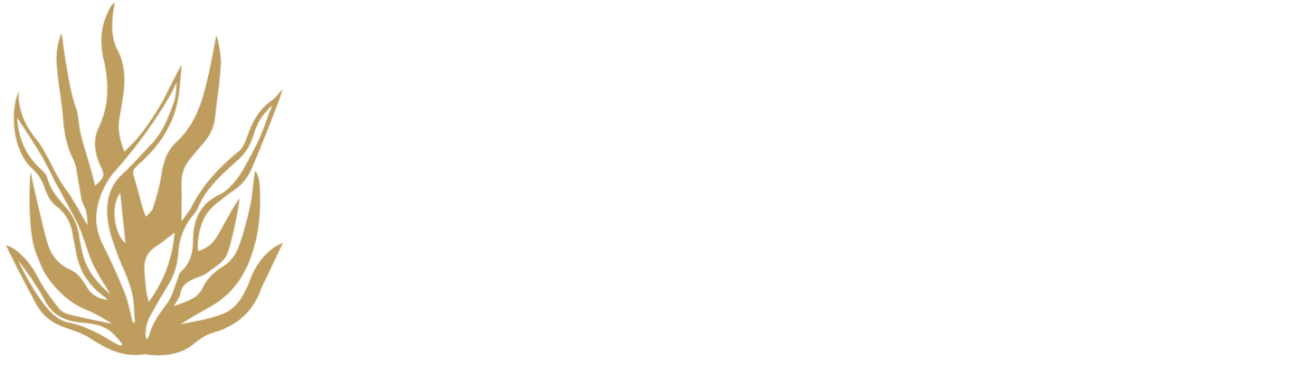 KelpEat - Ocean Healthy Bites